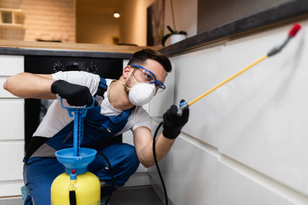 Best Bed Bug Extermination  in Halfway, MD